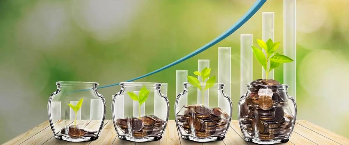 PG Capital Mutual Fund